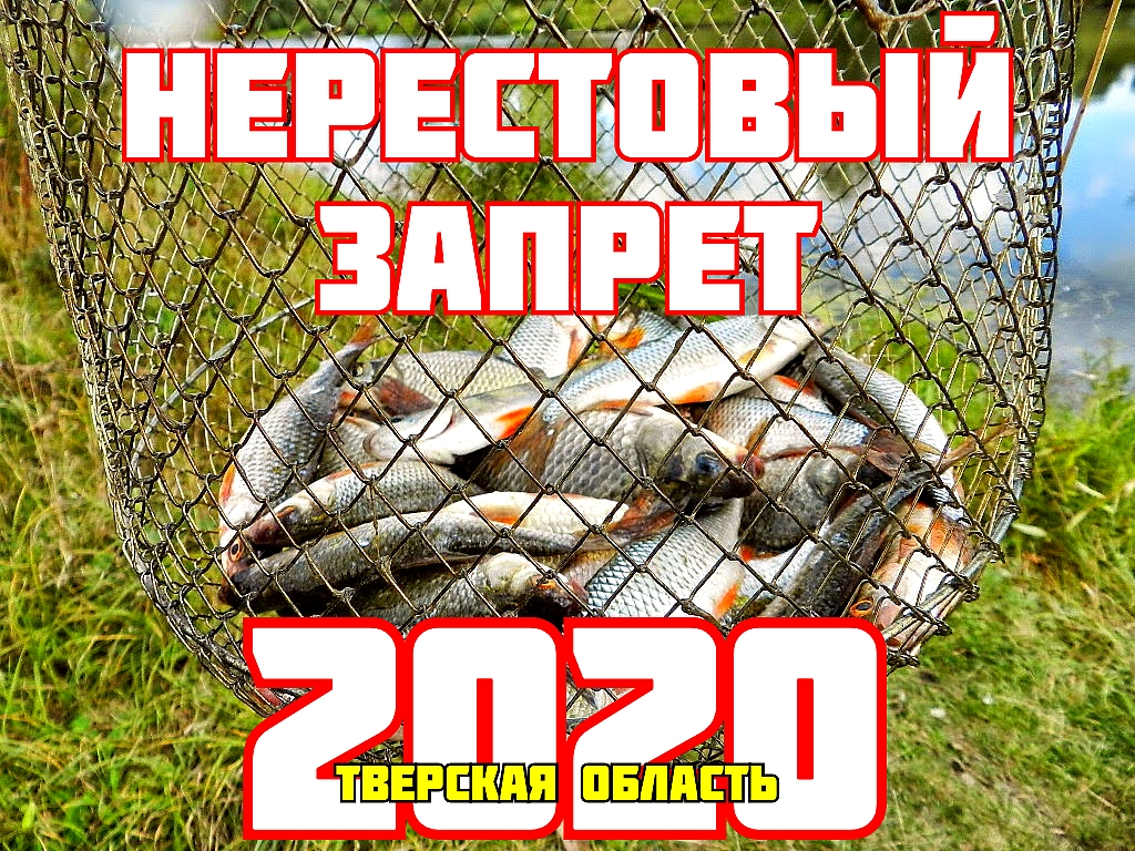 Nrestovyj-zapret-2020-Tverskaya-oblast